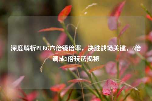 深度解析PUBG六倍镜倍率,决胜战场关键,6倍调成3倍玩法揭秘