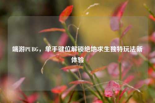 端游PUBG,单手键位解锁绝地求生独特玩法新体验