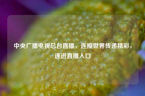 中央广播电视总台直播,连接世界传递精彩,速进直播入口