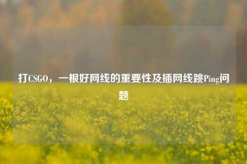 打CSGO,一根好网线的重要性及插网线跳Ping问题