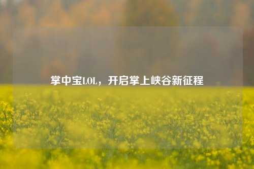 掌中宝LOL,开启掌上峡谷新征程