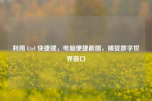 利用 Ctrl 快捷键,电脑便捷截图,捕捉数字世界窗口