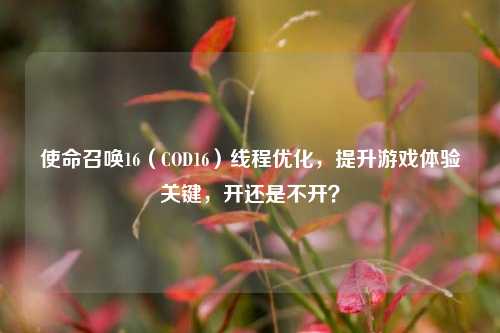 使命召唤16(COD16)线程优化,提升游戏体验关键,开还是不开?