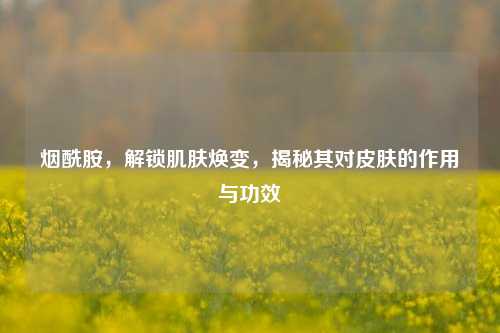 烟酰胺,解锁肌肤焕变,揭秘其对皮肤的作用与功效