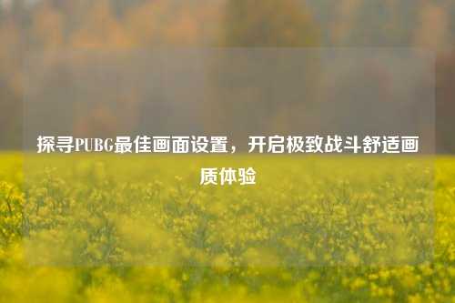 探寻PUBG更佳画面设置,开启极致战斗舒适画质体验