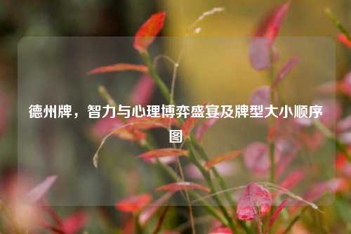 德州牌,智力与心理博弈盛宴及牌型大小顺序图