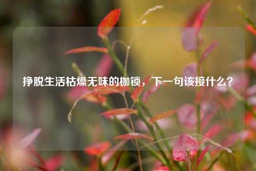 挣脱生活枯燥无味的枷锁,下一句该接什么?