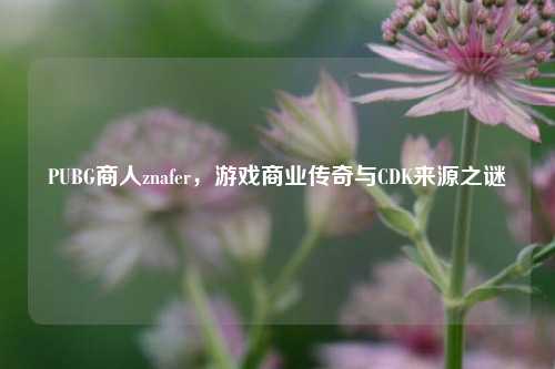 PUBG商人znafer,游戏商业传奇与CDK来源之谜
