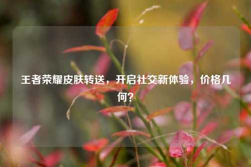 王者荣耀皮肤转送,开启社交新体验,价格几何?