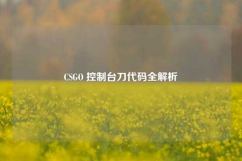 CSGO 控制台刀代码全解析