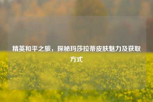 精英和平之旅,探秘玛莎拉蒂皮肤魅力及获取方式