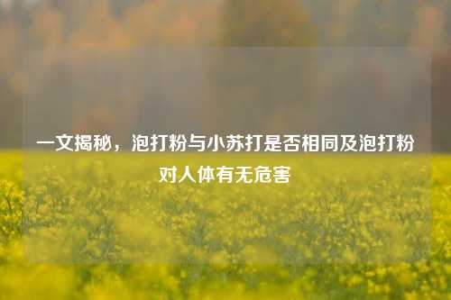 一文揭秘,泡打粉与小苏打是否相同及泡打粉对人体有无危害