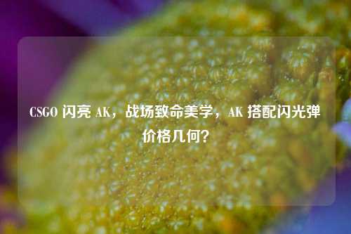CSGO 闪亮 AK,战场致命美学,AK 搭配闪光弹价格几何?