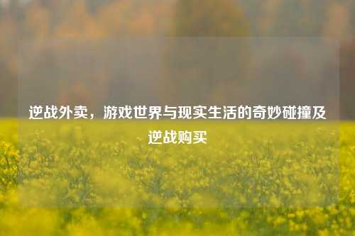 逆战外卖,游戏世界与现实生活的奇妙碰撞及逆战购买