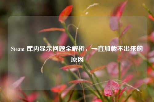 Steam 库内显示问题全解析,一直加载不出来的原因