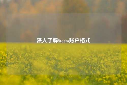 深入了解Steam账户格式