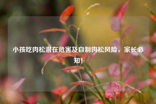 小孩吃肉松潜在危害及自制肉松风险,家长必知!