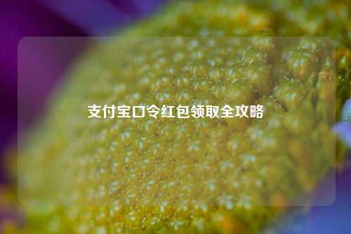 支付宝口令红包领取全攻略