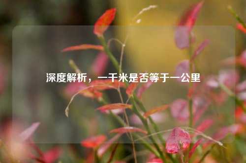 深度解析,一千米是否等于一公里