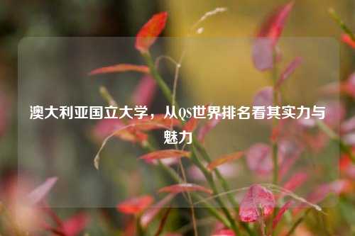 澳大利亚国立大学,从QS世界排名看其实力与魅力