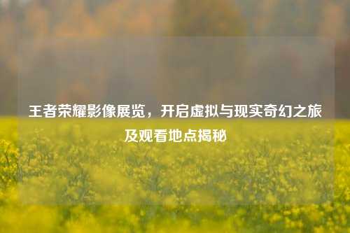 王者荣耀影像展览,开启虚拟与现实奇幻之旅及观看地点揭秘