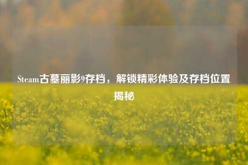 Steam古墓丽影9存档,解锁精彩体验及存档位置揭秘