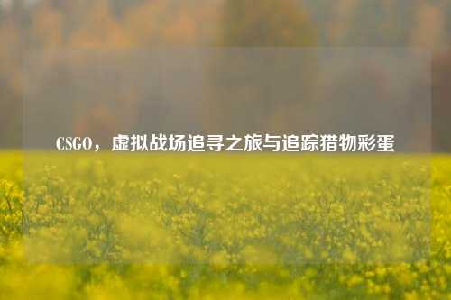 CSGO,虚拟战场追寻之旅与追踪猎物彩蛋