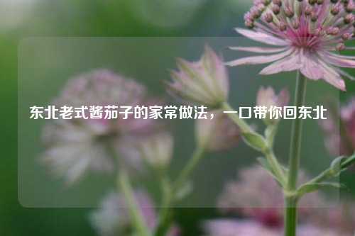 东北老式酱茄子的家常做法,一口带你回东北