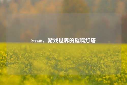 Steam,游戏世界的璀璨灯塔
