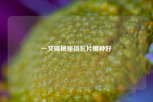 一文揭秘屋顶瓦片哪种好
