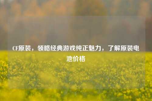 CF原装,领略经典游戏纯正魅力,了解原装电池价格