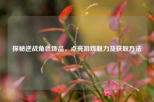 探秘逆战角色饰品,点亮游戏魅力及获取 ***
