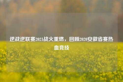 逆战逆联赛2021战火重燃,回顾2020安徽省赛热血竞技