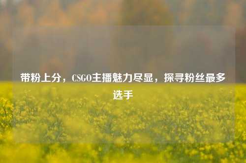 带粉上分,CSGO主播魅力尽显,探寻粉丝最多选手