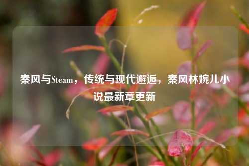 秦风与Steam,传统与现代邂逅,秦风林婉儿小说最新章更新