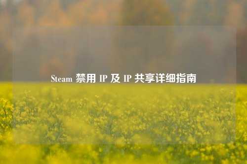 Steam 禁用 IP 及 IP 共享详细指南