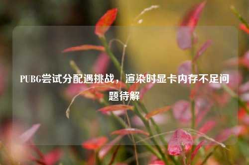 PUBG尝试分配遇挑战,渲染时显卡内存不足问题待解