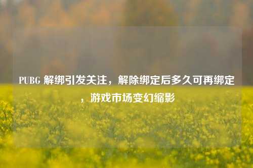 PUBG 解绑引发关注,解除绑定后多久可再绑定,游戏市场变幻缩影