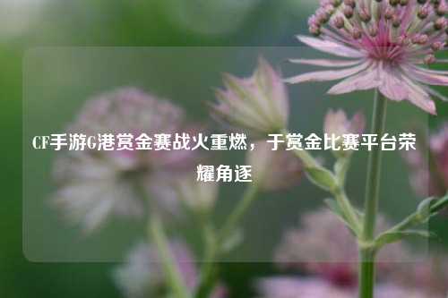 CF手游G港赏金赛战火重燃,于赏金比赛平台荣耀角逐