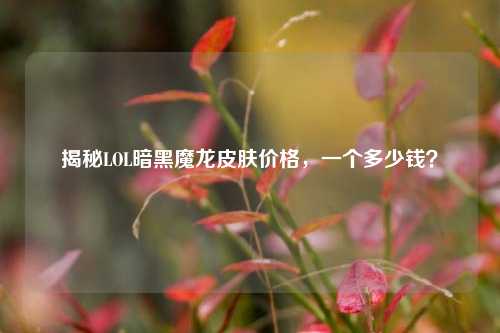 揭秘LOL暗黑魔龙皮肤价格,一个多少钱?