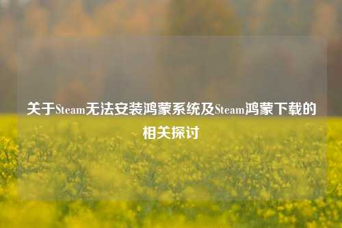关于Steam无法安装鸿蒙系统及Steam鸿蒙下载的相关探讨