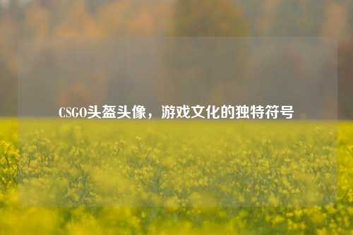 CSGO头盔头像,游戏文化的独特符号