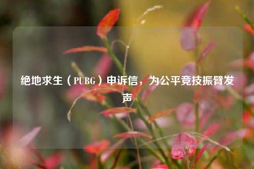 绝地求生(PUBG)申诉信,为公平竞技振臂发声