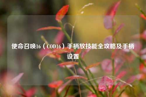 使命召唤16(COD16)手柄放技能全攻略及手柄设置