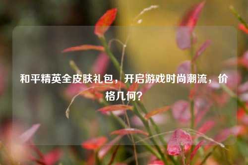 和平精英全皮肤礼包,开启游戏时尚潮流,价格几何?