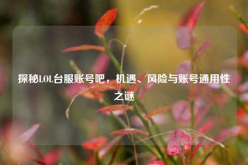 探秘LOL台服账号吧,机遇、风险与账号通用性之谜