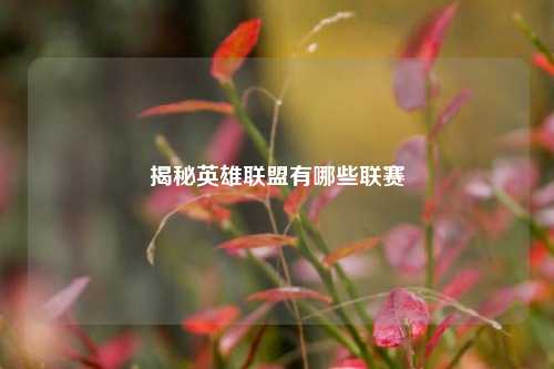 揭秘英雄联盟有哪些联赛