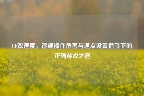 CF改速度,违规操作危害与速点设置指引下的正确游戏之道