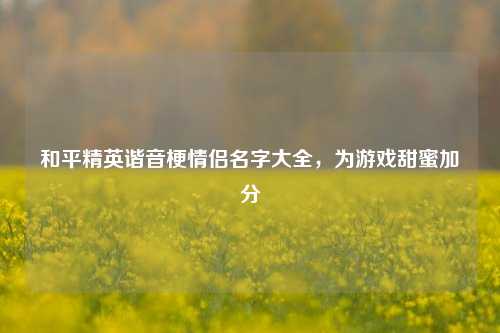 和平精英谐音梗情侣名字大全,为游戏甜蜜加分