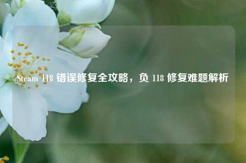 Steam 118 错误修复全攻略,负 118 修复难题解析